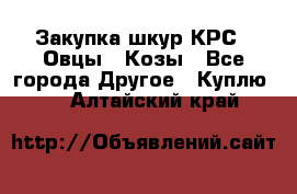 Закупка шкур КРС , Овцы , Козы - Все города Другое » Куплю   . Алтайский край